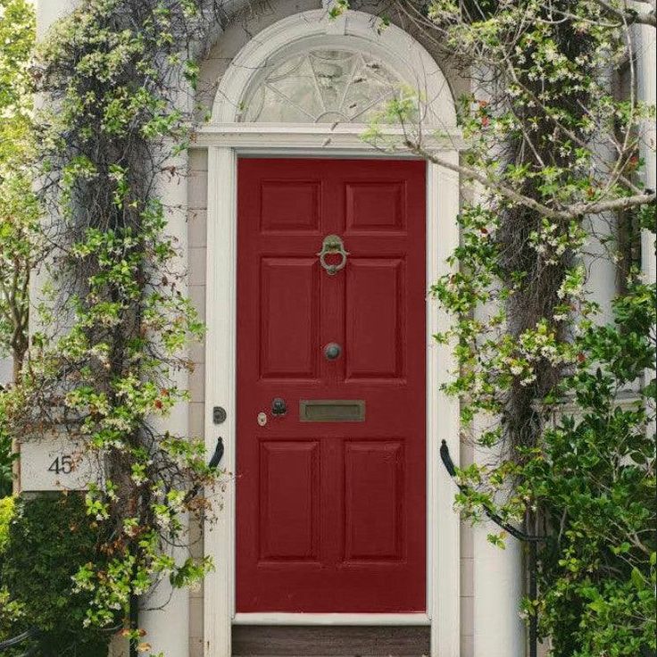 Learn expert tips on how to paint a door