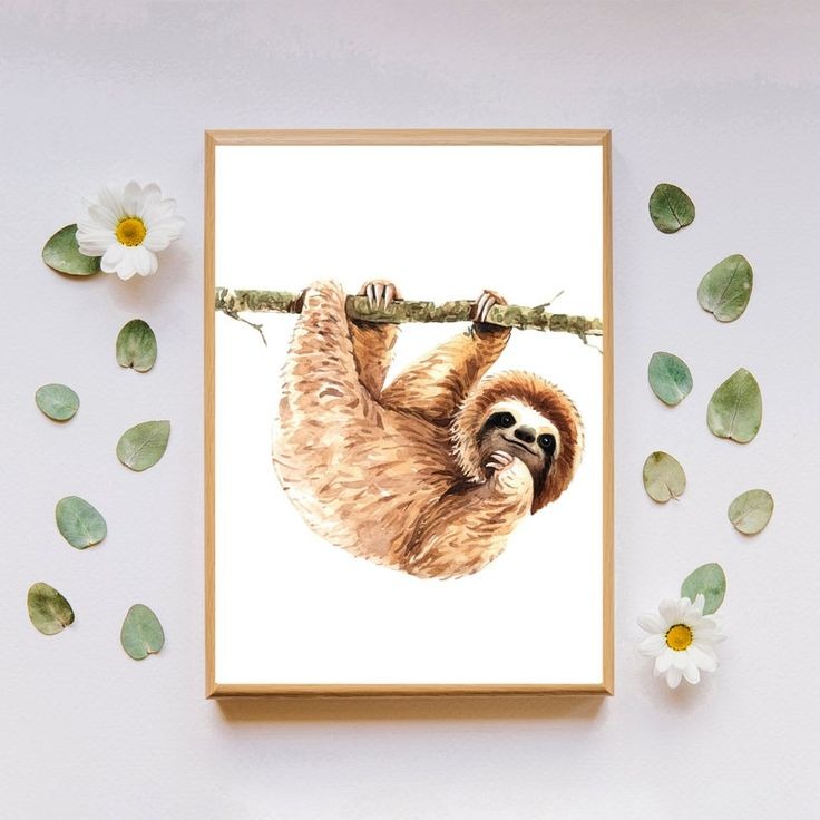 sloth posters